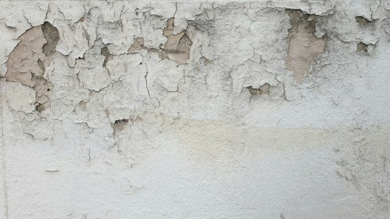 Pared con pintura descascarillada por humedad
